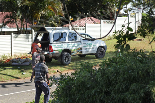 CPS Treefelling & Landscaping