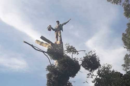 CPS Treefelling & Landscaping