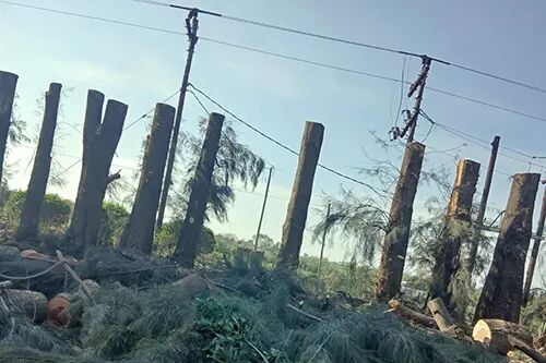 CPS Treefelling & Landscaping