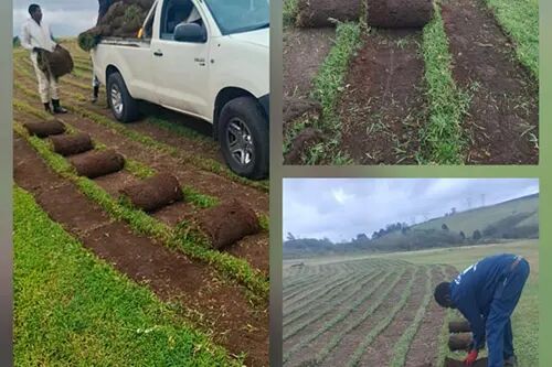 CPS Treefelling & Landscaping